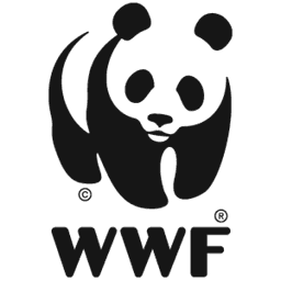 WWF